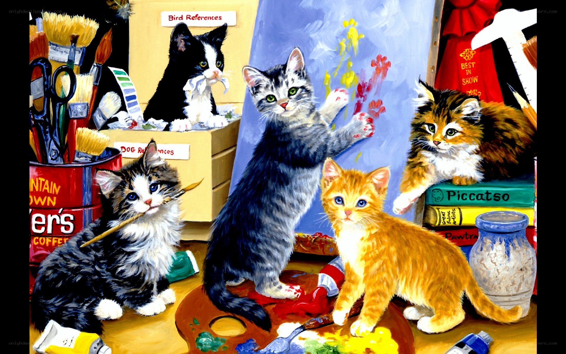 kittens in an art studio