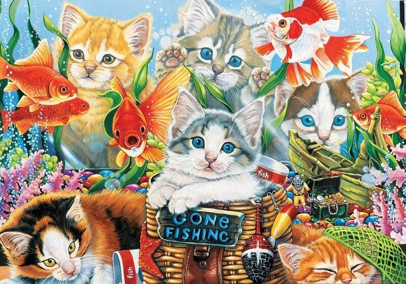 Kittens in Aquarium