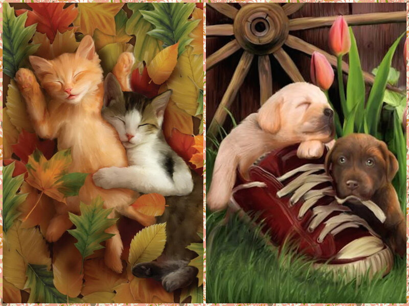 Kittens in Autumn Leaves — Orange