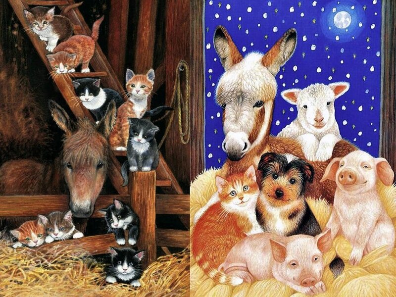 Kittens in Barn