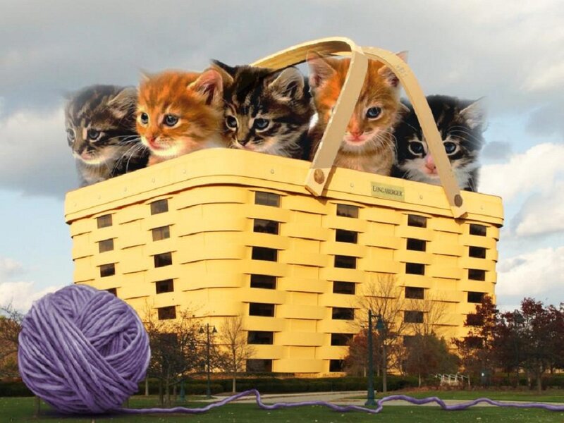 Kittens in Basket — Yellow