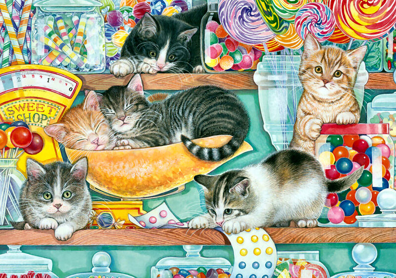 Kittens in Candy Shop