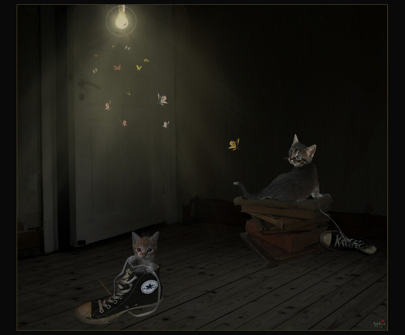 Kittens in Dark Room