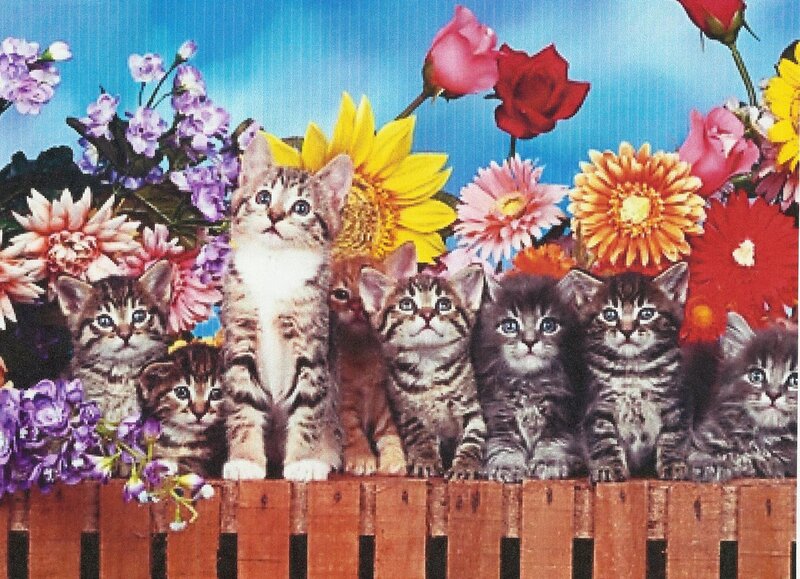 Kittens in Flowers — Blue