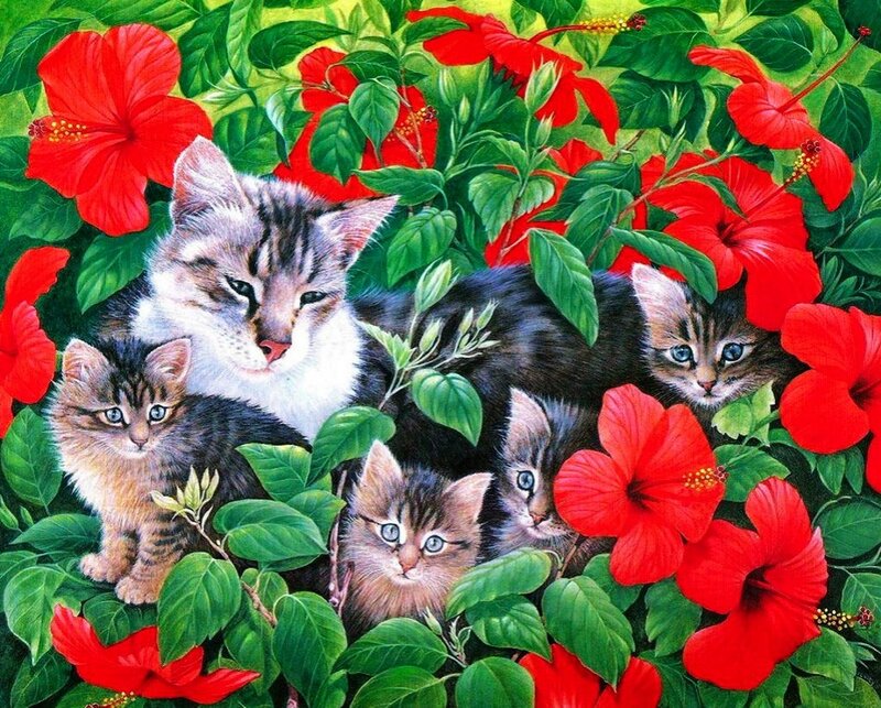 Kittens in Flowers — Red, Calm