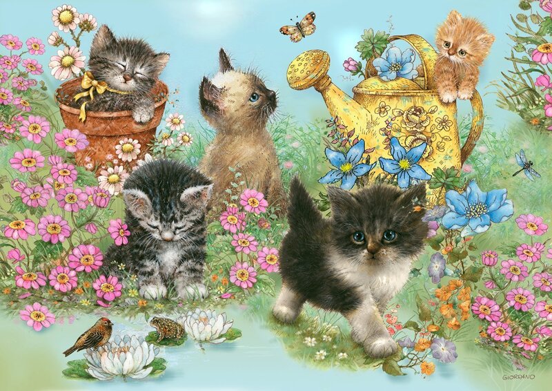 Kittens in Garden — Blue