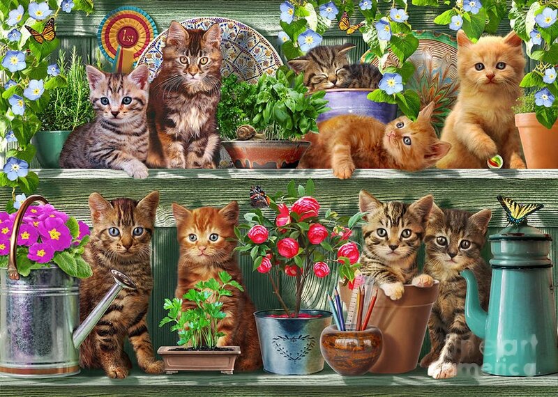 Kittens in Garden — Green, Cheerful