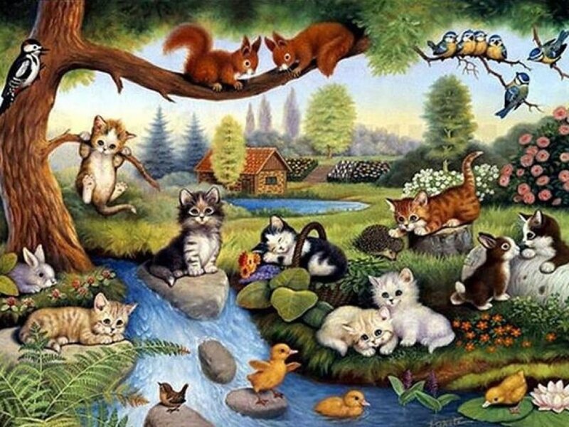 Kittens in Garden — Green, Peaceful, Afternoon