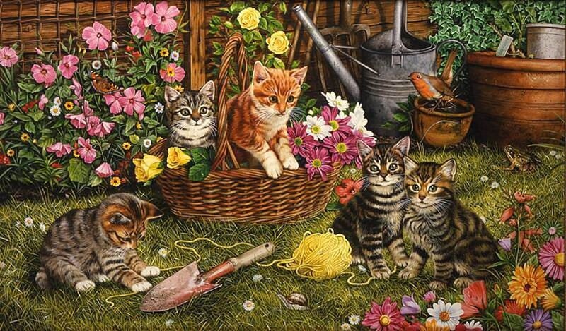 Kittens in Garden — Green, Peaceful
