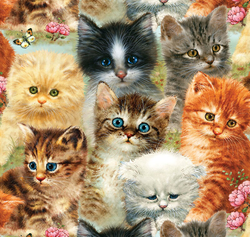 Kittens in Garden — Orange