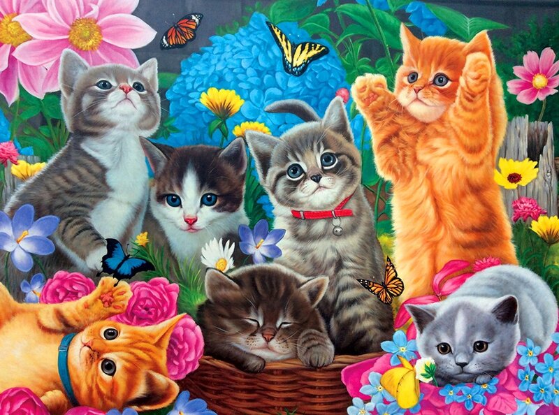 Kittens in Garden — Pink