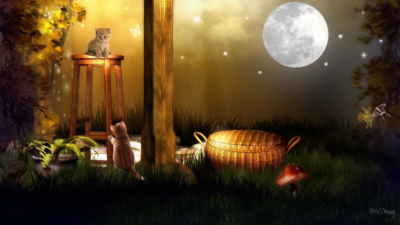 Kittens in Garden