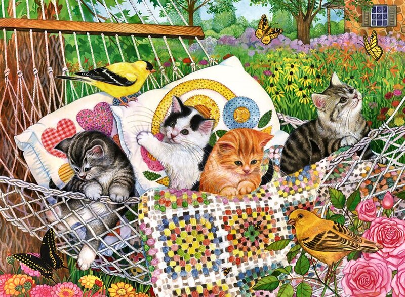 Kittens in Hammock