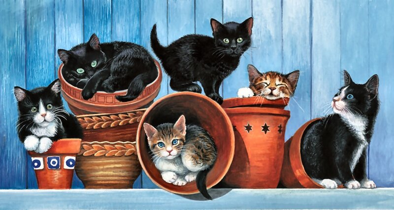 Kittens in Pots — Blue