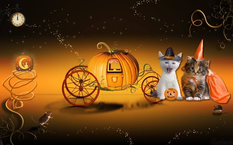 Kittens in Pumpkin Carriage