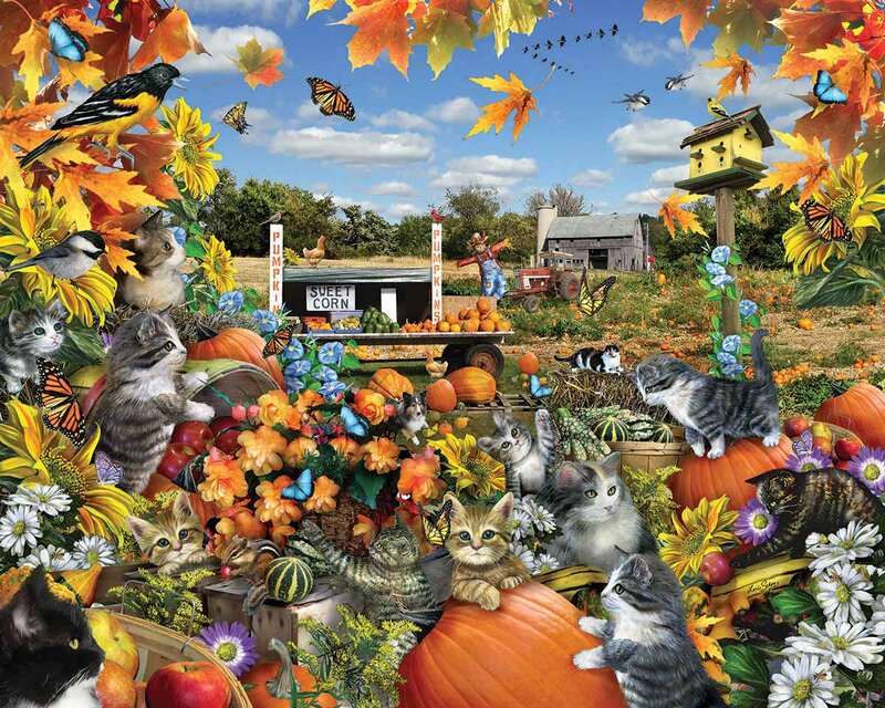 Kittens in Pumpkin Patch