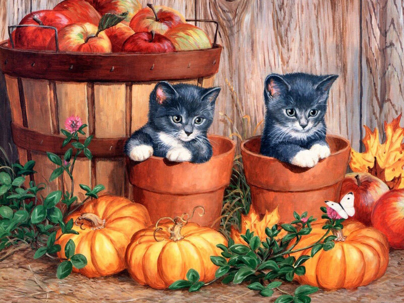 Kittens in pumpkins with apples