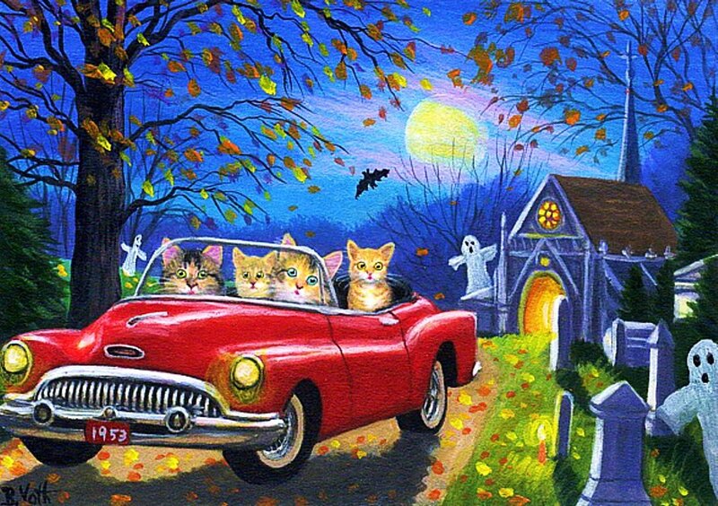 Kittens in Red Car
