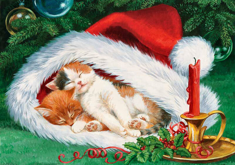Kittens in Santa Hat — Green