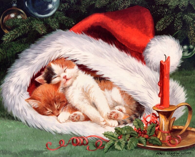 Kittens in Santa Hat