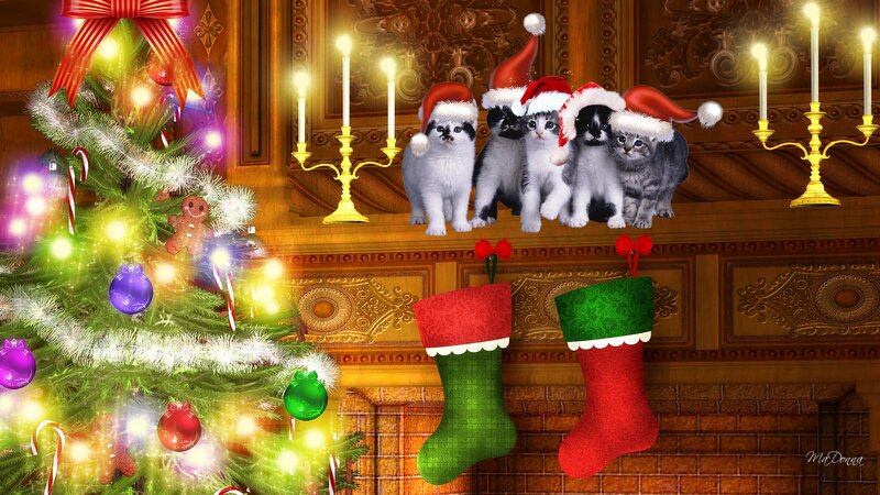 Kittens in Santa Hats — Green