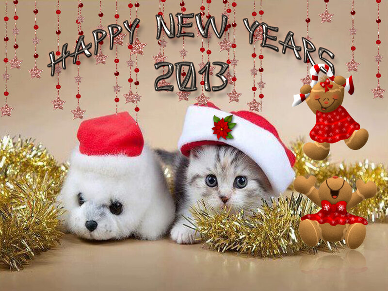 Kittens in Santa Hats — Red
