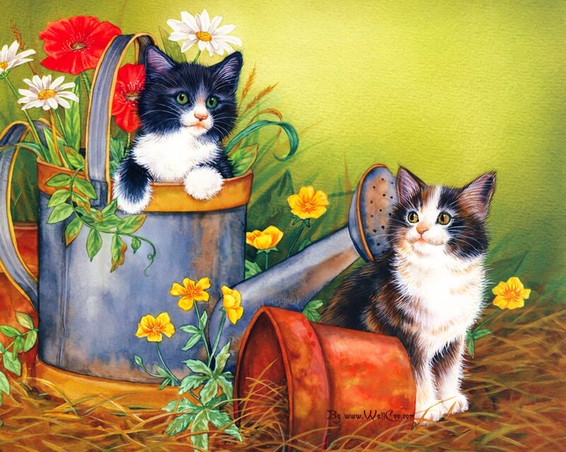 Kittens in Watering Cans — Green, Calm, Spring