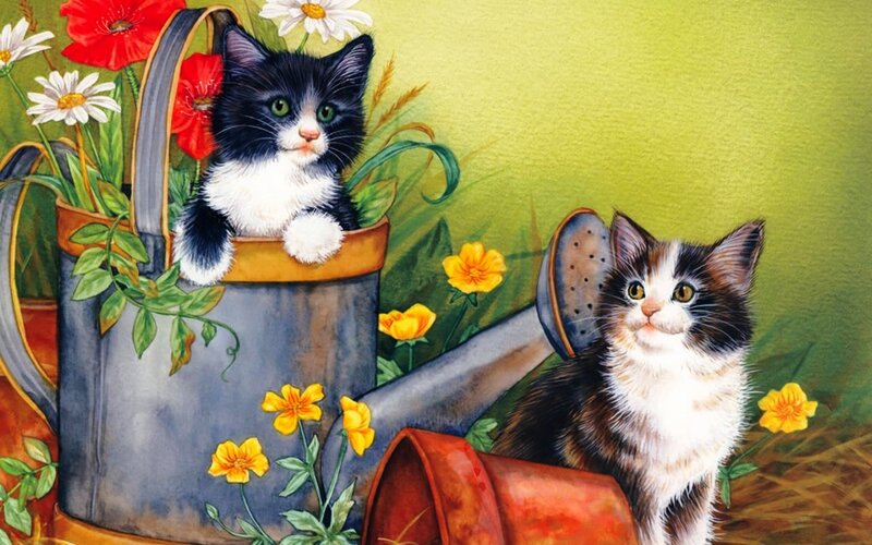 Kittens in Watering Cans — Green, Calm