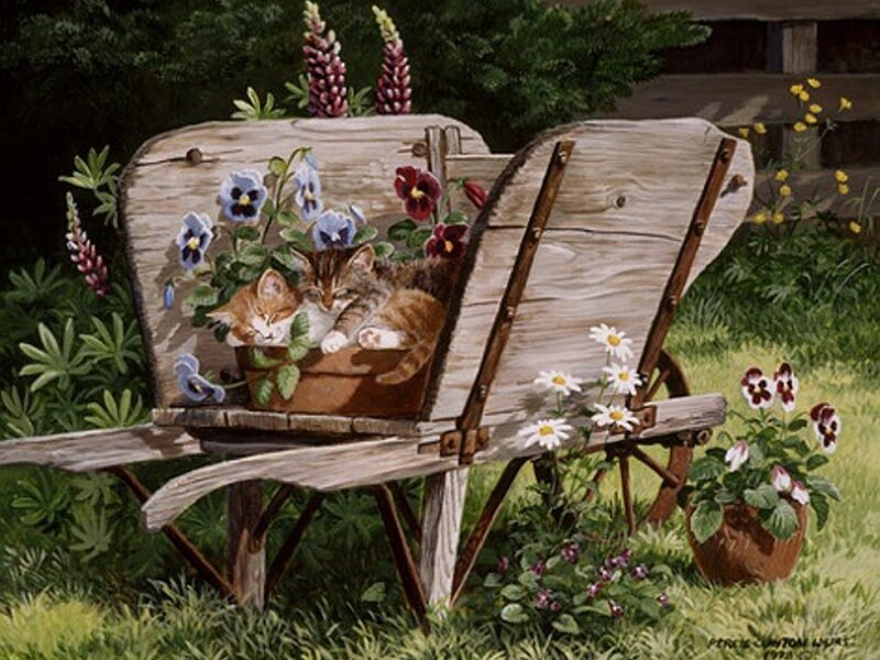 Kittens in Wheelbarrow — Green, Serene
