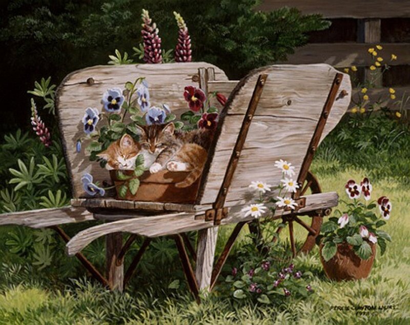 Kittens in Wheelbarrow