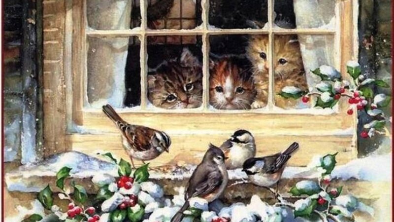 Kittens in Window