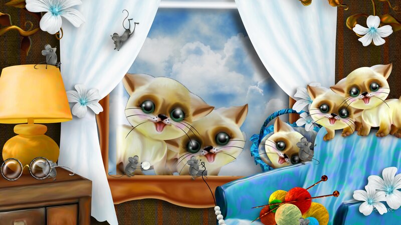 Kittens on a Bed