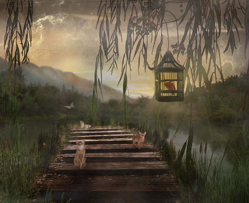 Kittens on a Dock
