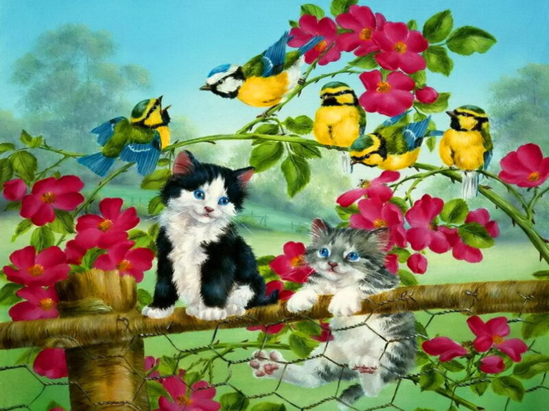 Kittens on a Fence — Pink