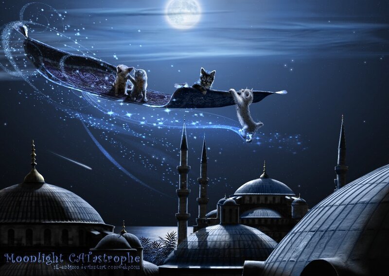 Kittens on a Magic Carpet