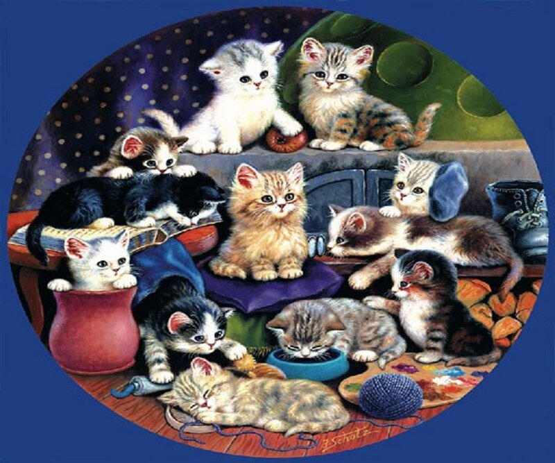 Kittens on a Shelf — Blue