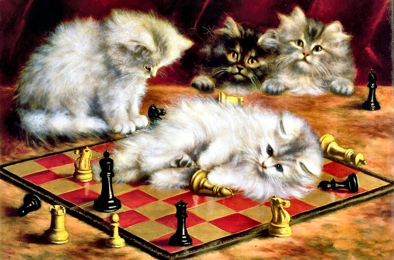 Kittens on Chessboard