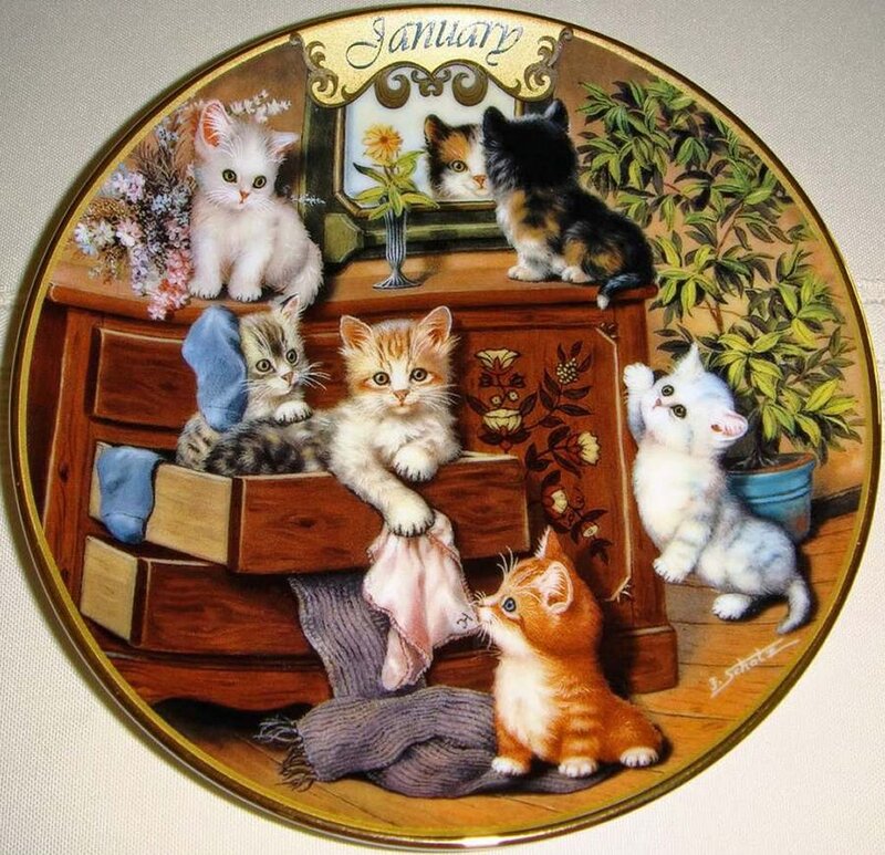 Kittens on Dresser