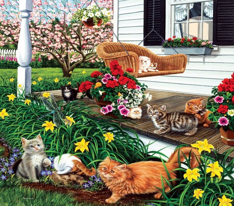 Kittens on Porch — Green