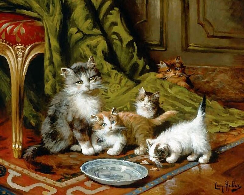 Kittens on Rug
