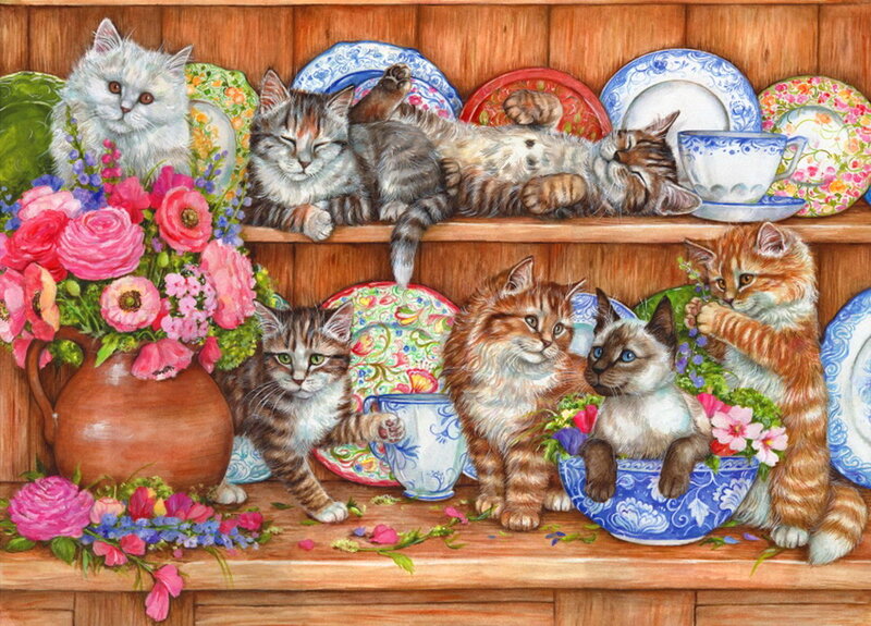Kittens on Shelves
