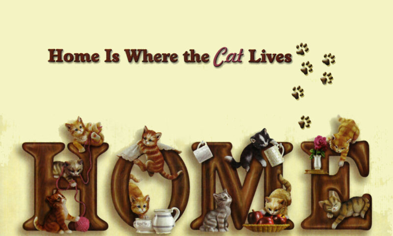 Kittens on Wooden Letters