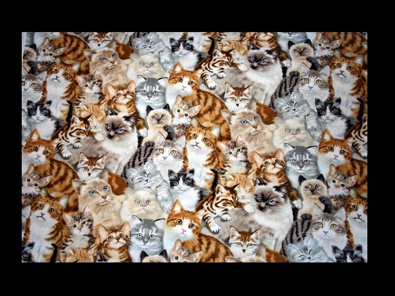 kittens pattern fabric