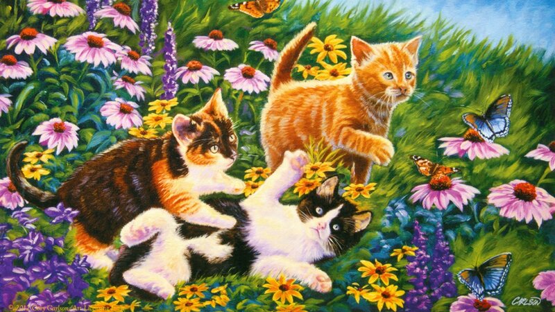 kittens playing in a garden
