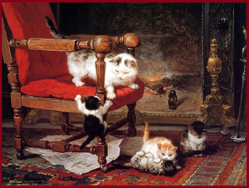 Kittens Playing Indoors