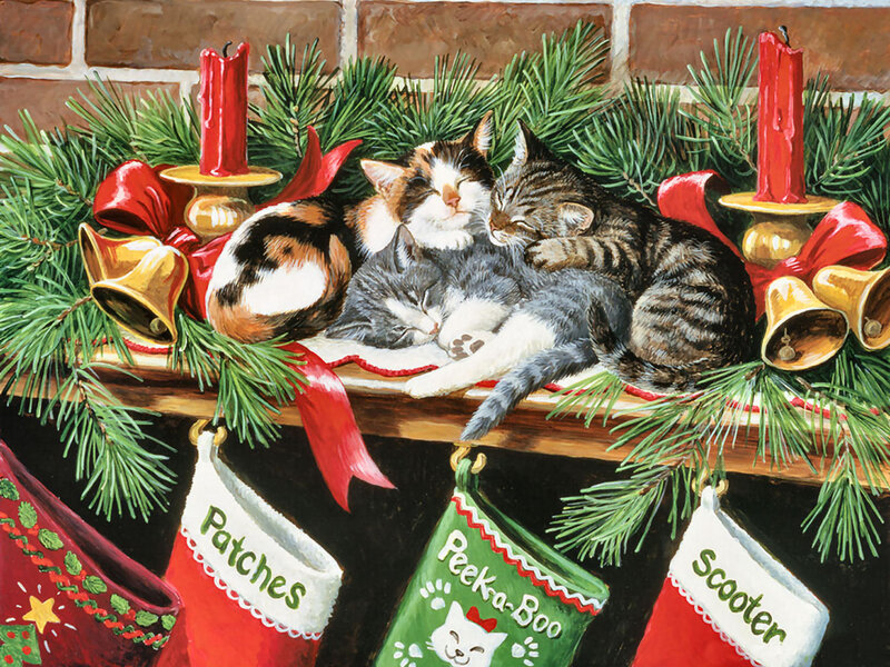 Kittens Sleeping on Mantel