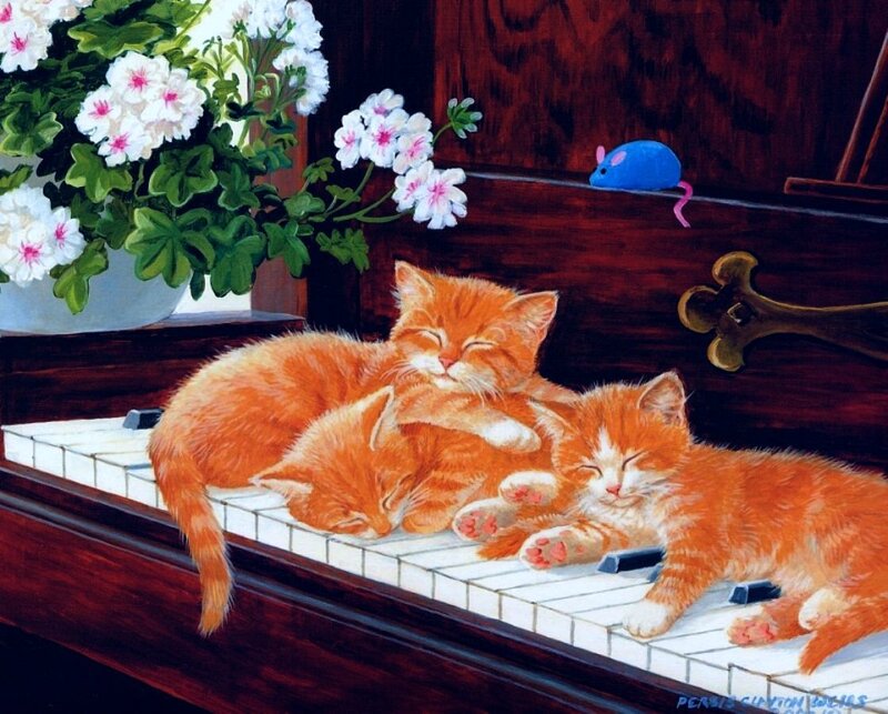Kittens sleeping on piano keys
