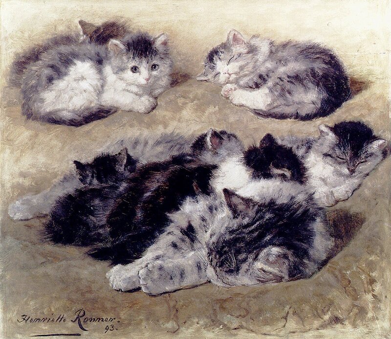 Kittens Sleeping Together — Gray