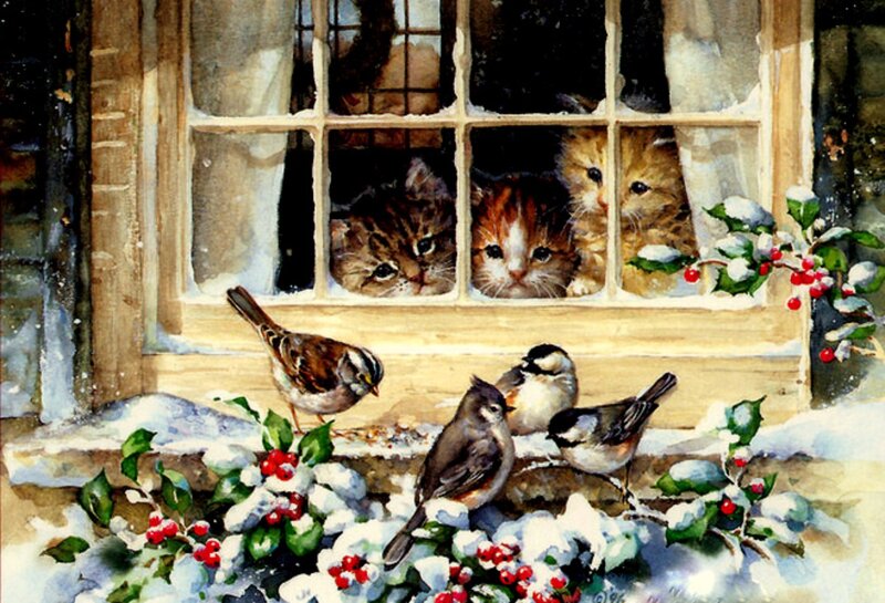 Kittens Watching Birds