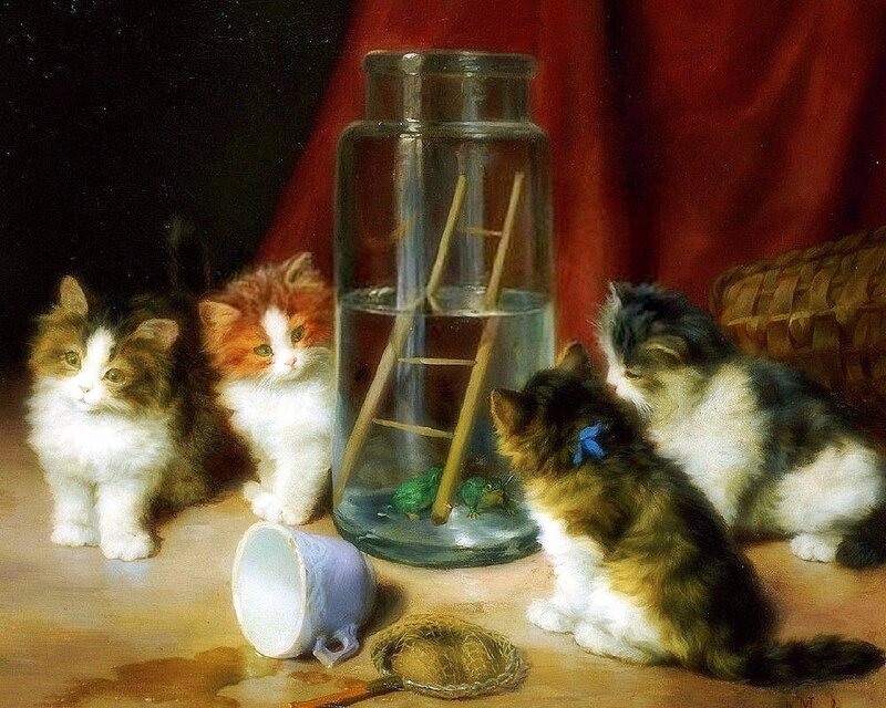 Kittens Watching Frogs
